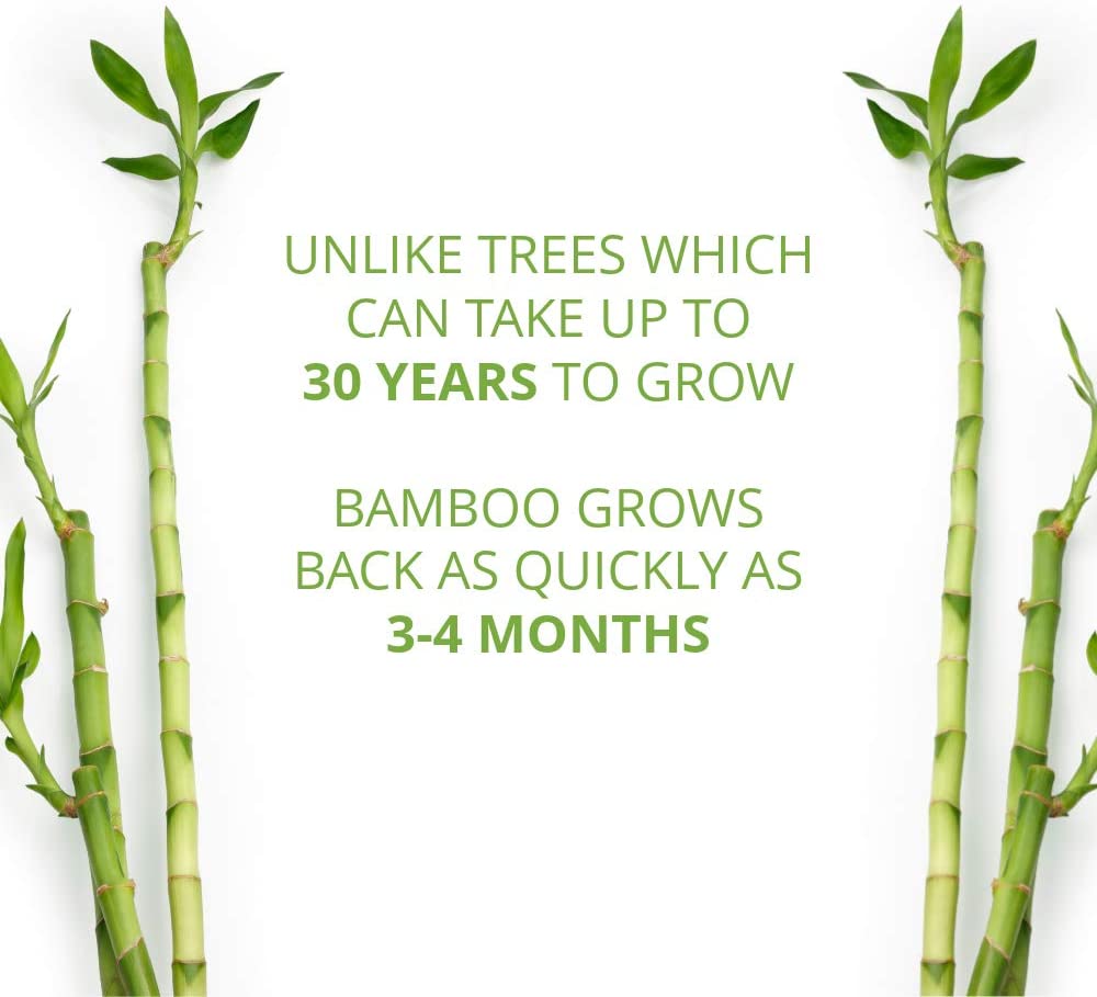 Bamboo Paper Napkins, 4 Packs of 250, 1000 Total Napkins, Eco Friendly, Sustainable, and Disposable Kitchen Napkins-Toppalletfly