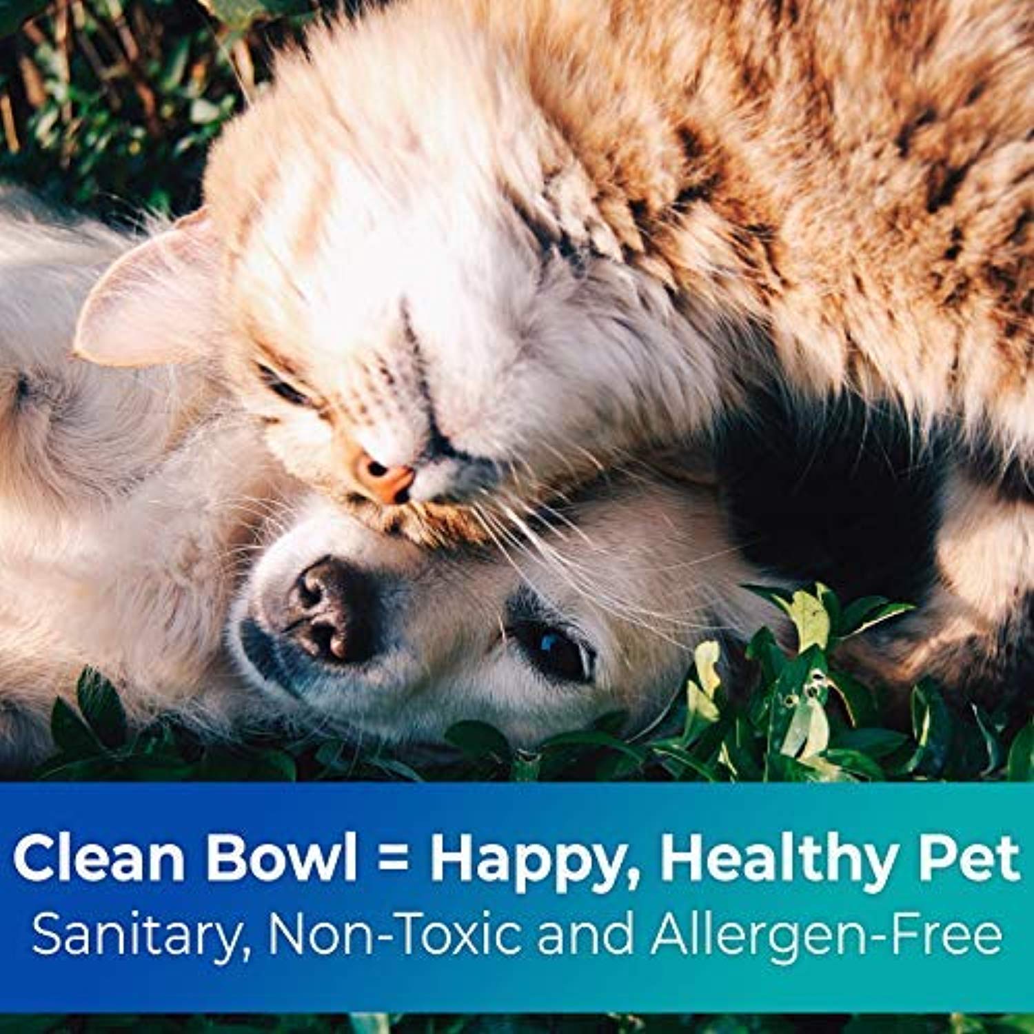 Biodegradable Disposable Pet Bowls Bulk 8 Oz Germ-Free, Non-Toxic Leakproof and Allergen-Free-Toppalletfly