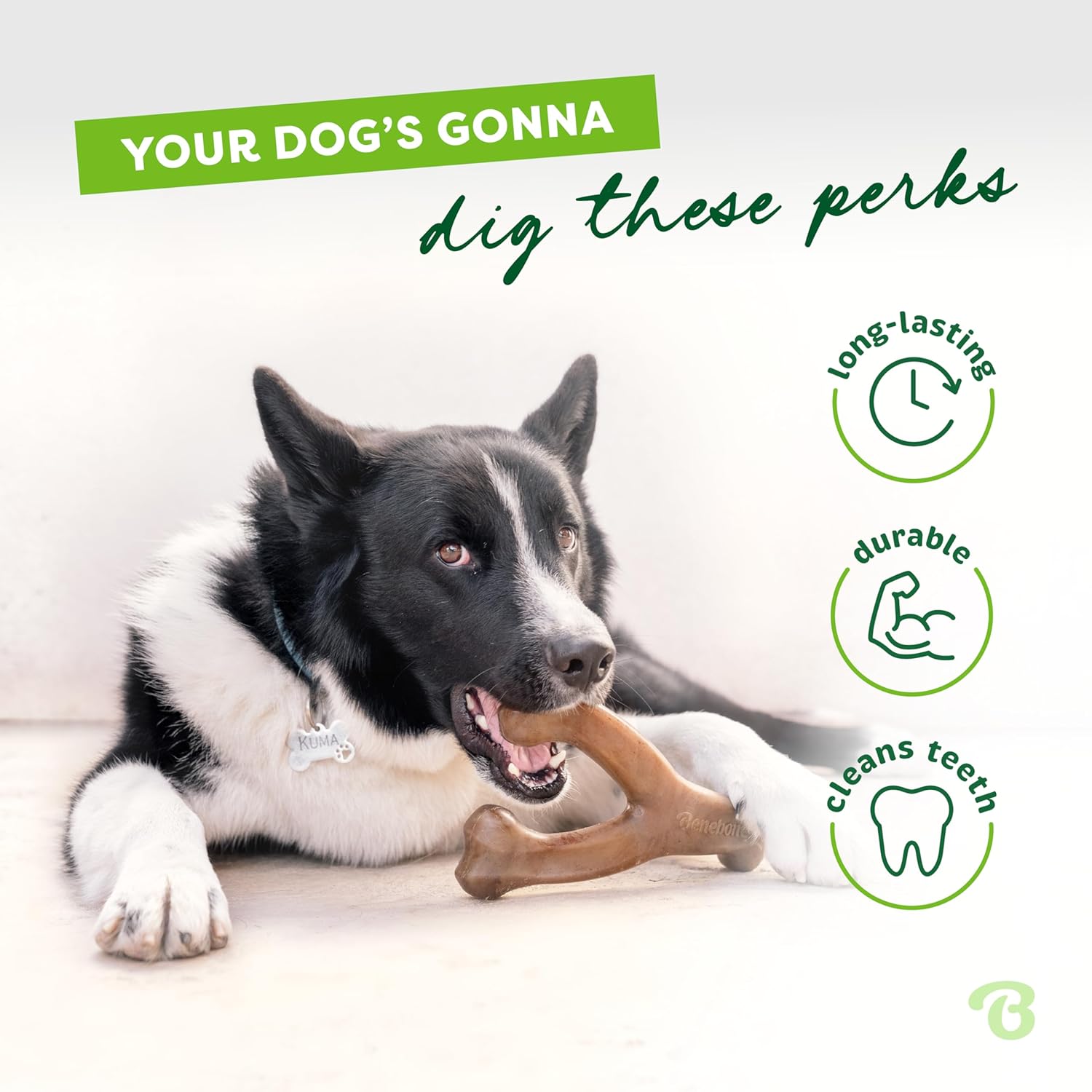 Giant Durable Dog Chew Toy for Aggressive Chewers, Real Peanut, Made in USA - 2 Pcs-Toppalletfly