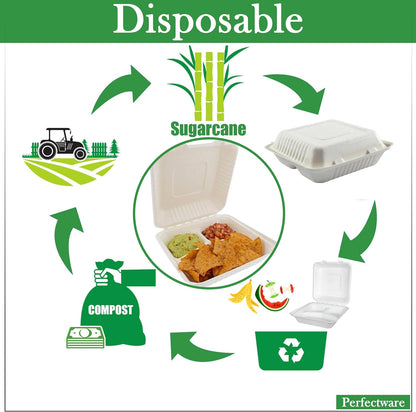 100% Compostable 3 Comp Take Out Food Containers 9x9x3, Natural Disposable Bagasse, Eco-Friendly Biodegradable Made of Sugar Cane-Toppalletfly