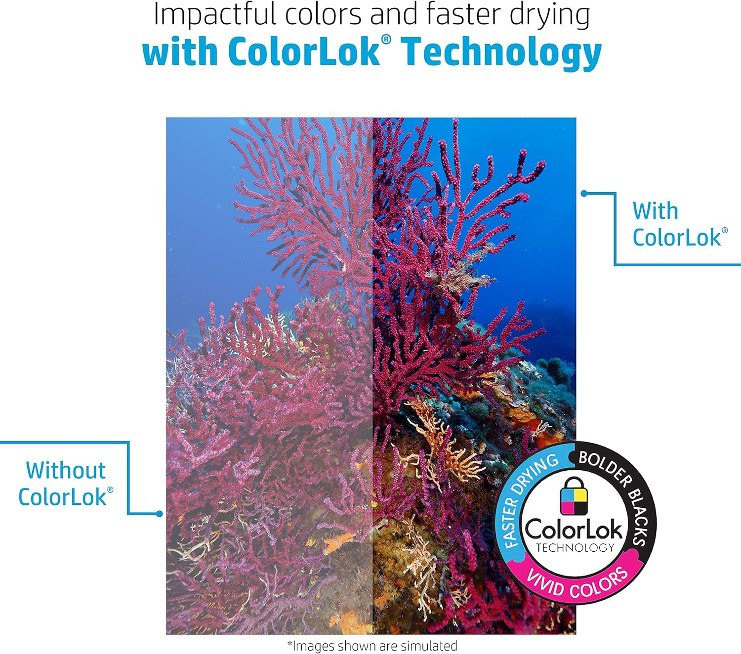 8.5x 11 Paper, All-In-One 22 lb, 5 Ream Case, 2,500 Sheets, 96 Bright, Made in USA, FSC Certified-Toppalletfly