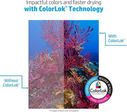 8.5x 11 Paper, All-In-One 22 lb, 5 Ream Case, 2,500 Sheets, 96 Bright, Made in USA, FSC Certified-Toppalletfly