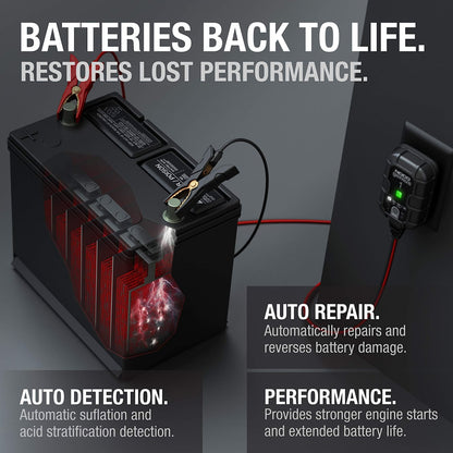 Automatic Smart Car Battery Charger, 6V and 12V Highest-Performing, Energy-Efficient, and Compact Portable Universal Battery Charger-Toppalletfly