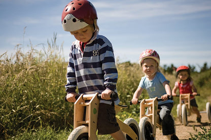 Bike 3 in 1 Wooden Balance Bike and Walker, Ages 1 to 5 Years-Toppalletfly