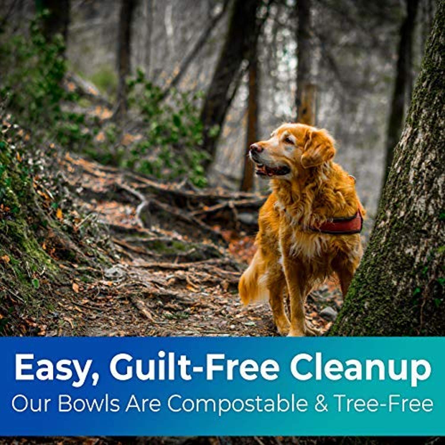 Biodegradable Disposable Pet Bowls Bulk 8 Oz Germ-Free, Non-Toxic Leakproof and Allergen-Free-Toppalletfly