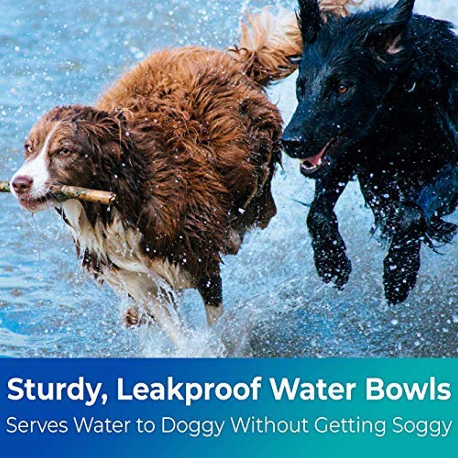 Biodegradable Disposable Pet Bowls Bulk 8 Oz Germ-Free, Non-Toxic Leakproof and Allergen-Free-Toppalletfly