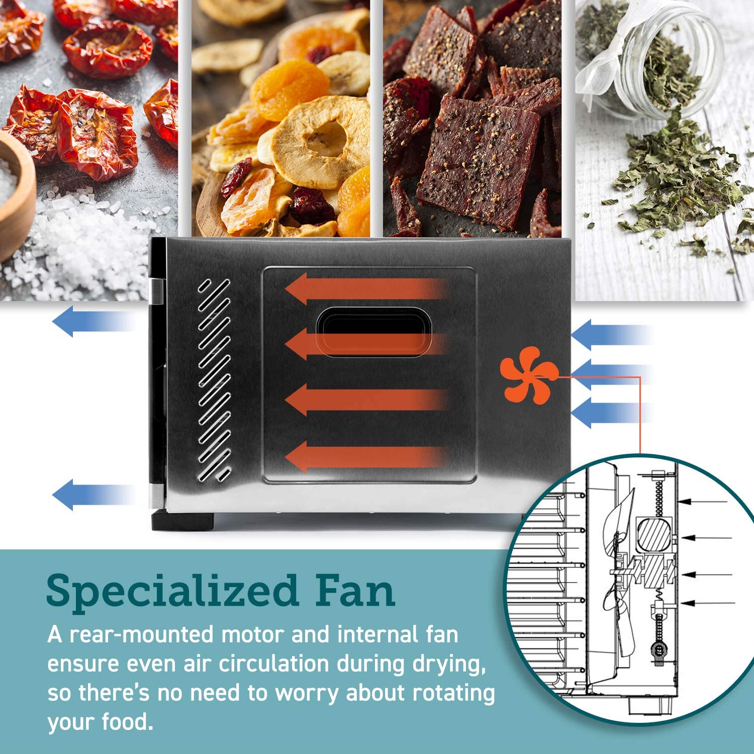 Food Dehydrator, 6 Stainless Steel Trays with Digital Timer and Temperature Control for Beef,Jerky,Fruit,Dog Treats,Herbs, FDA Compliant-Toppalletfly