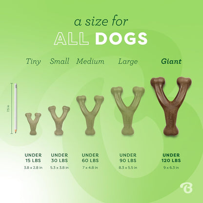 Giant Durable Dog Chew Toy for Aggressive Chewers, Real Peanut, Made in USA - 2 Pcs-Toppalletfly