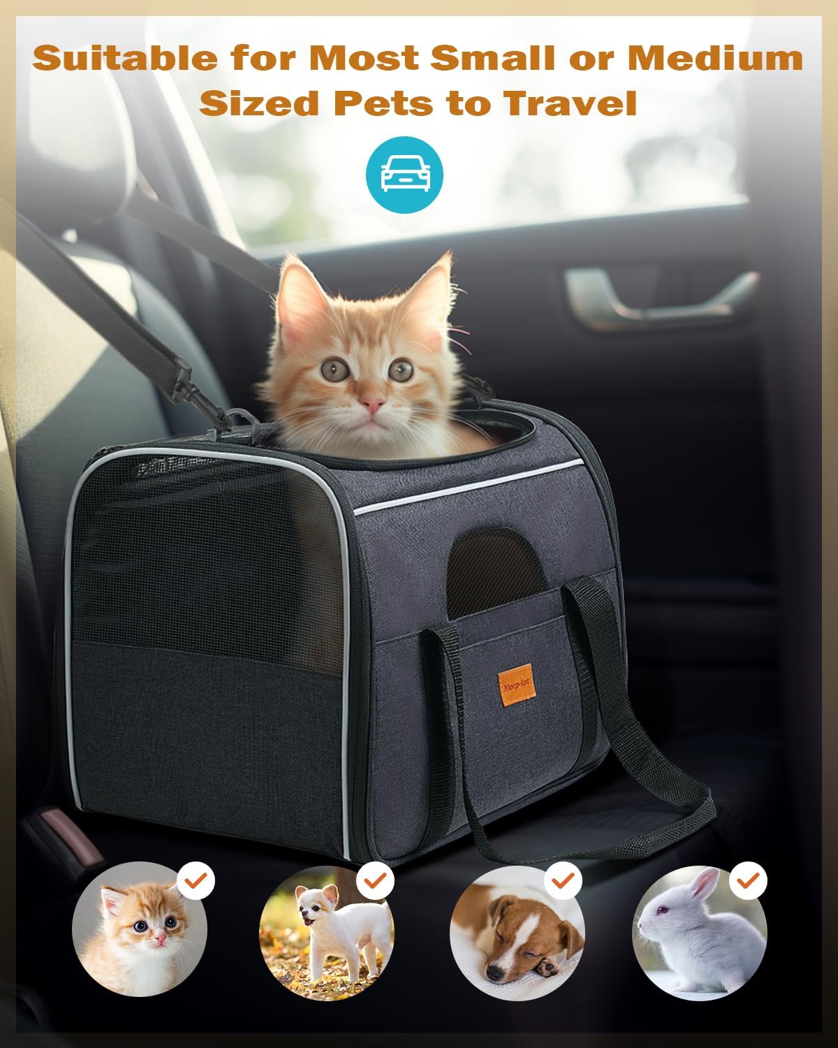 Portable Pet Bag - Folding Fabric Pet Carrier with Locking Safety Zippers, Airline Approved-Toppalletfly