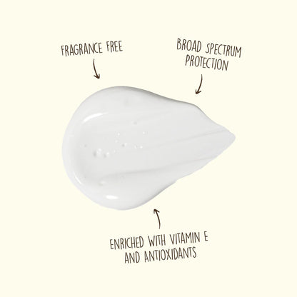 Sunscreen Face Lotion, Vegan and Reef Friendly, Fragrance-Free Moisturizing UVA/UVB-Toppalletfly