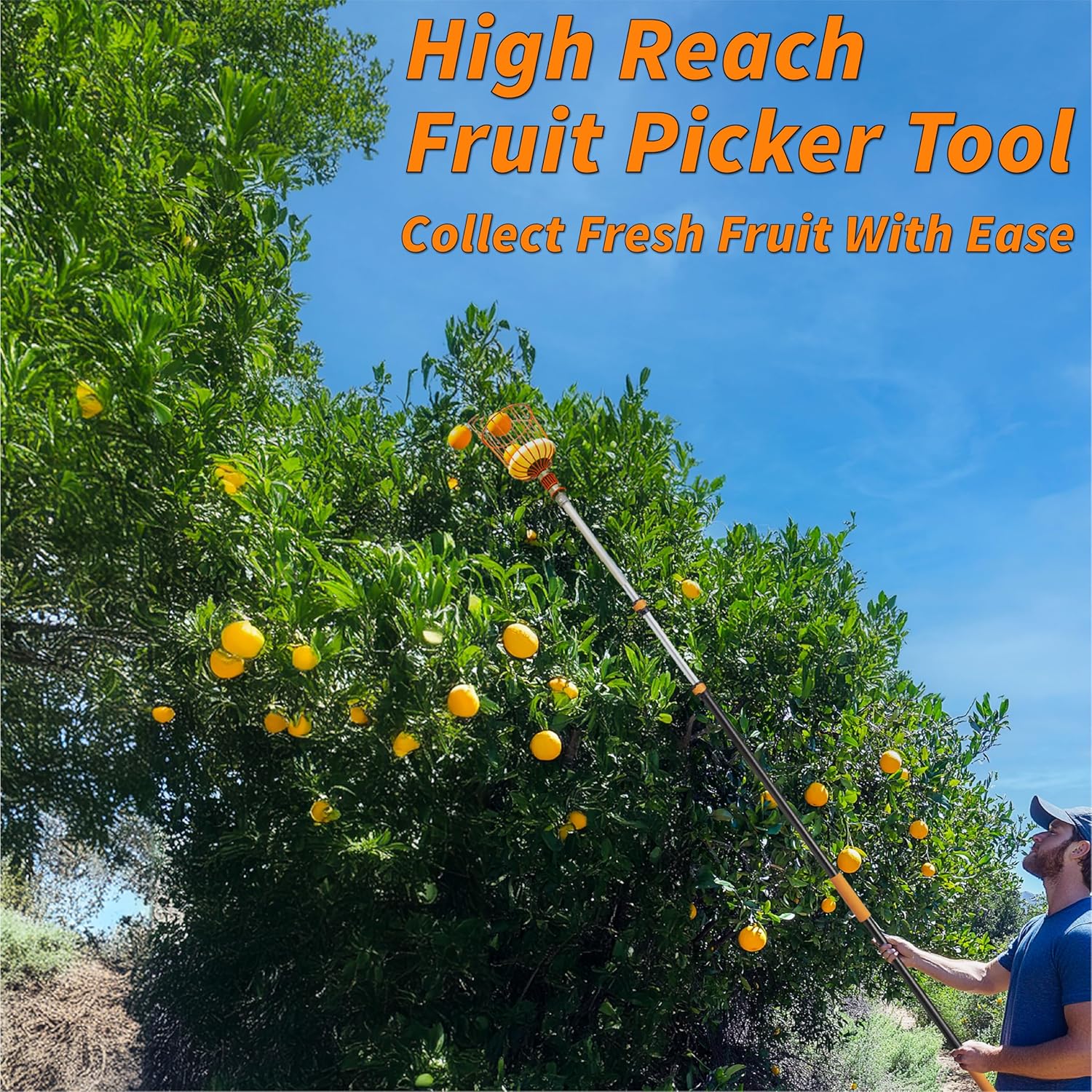 Telescoping Fruit Picker with Basket, Ultimate High-Reach Tool for Apples, Oranges, Mangoes, and More-Toppalletfly