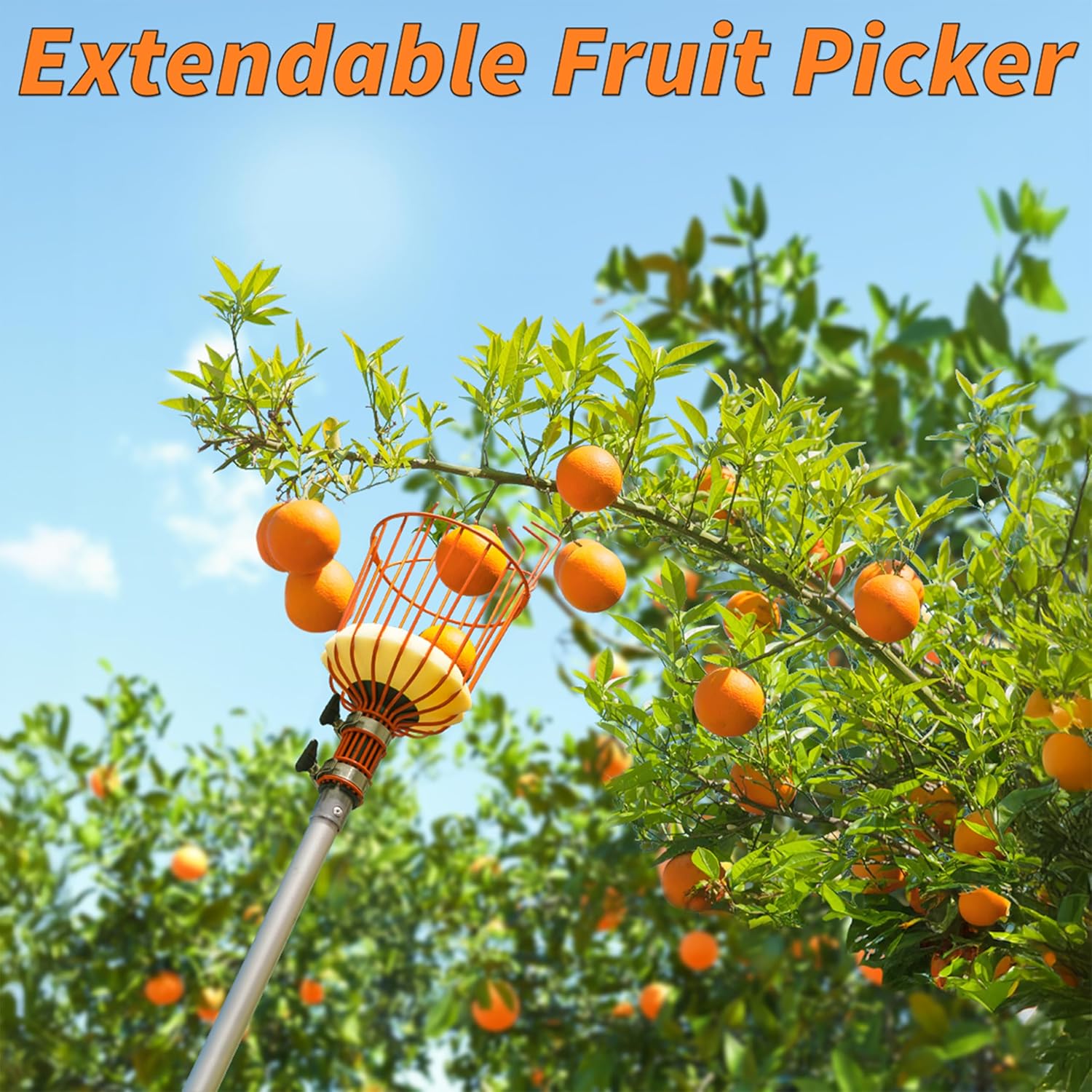 Telescoping Fruit Picker with Basket, Ultimate High-Reach Tool for Apples, Oranges, Mangoes, and More-Toppalletfly