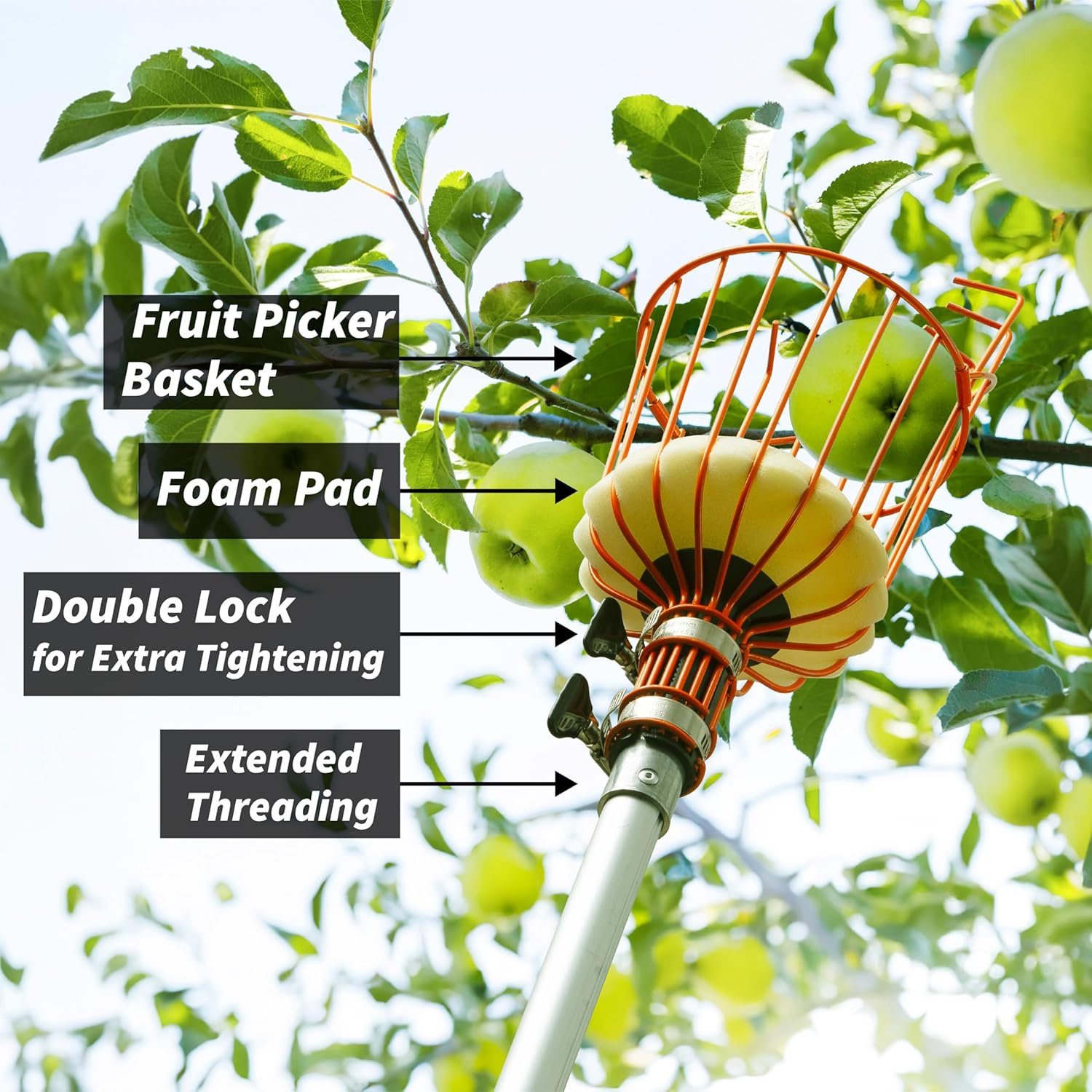Telescoping Fruit Picker with Basket, Ultimate High-Reach Tool for Apples, Oranges, Mangoes, and More-Toppalletfly