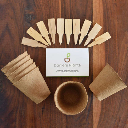 Large Peat Pots, Organic Biodegradable Eco Friendly, 2 Sets of 30 Pack 4 Inch Round-Toppalletfly