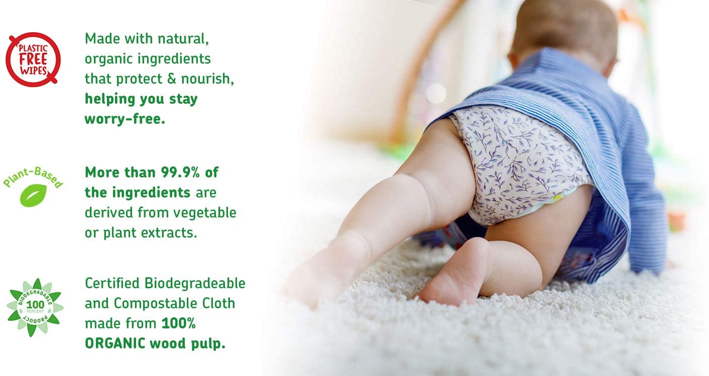 Water Based Baby Wipes, 56 Count Case of 12 packs - Toppalletfly